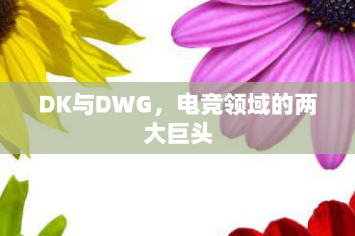 电竞领域的两大巨头图片