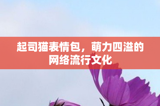 萌力四溢的网络流行文化图片