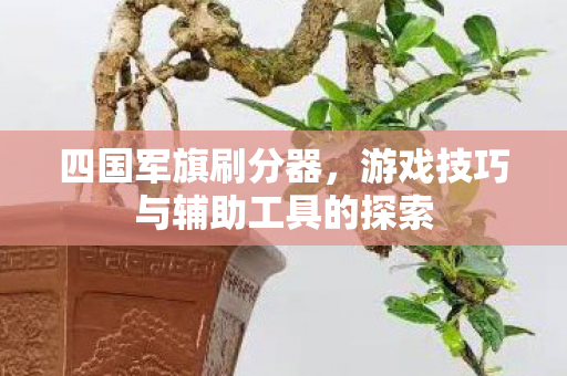 游戏技巧与辅助工具的探索图片