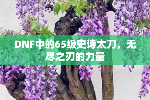DNF中的65级史诗太刀图片