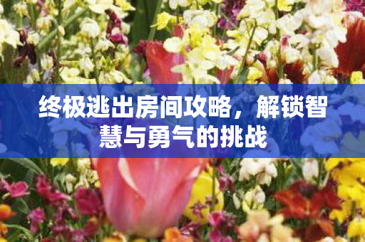 解锁智慧与勇气的挑战图片