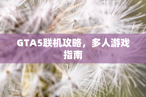 GTA5联机攻略图片