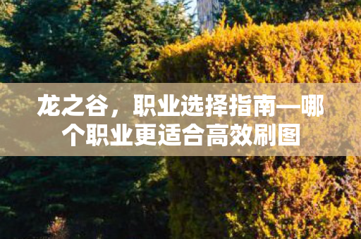 哪个职业更适合高效刷图图片