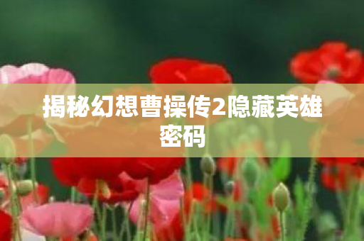 揭秘幻想曹操传2隐藏英雄密码图片