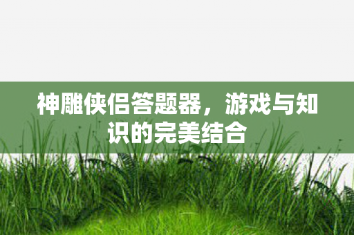 游戏与知识的完美结合图片