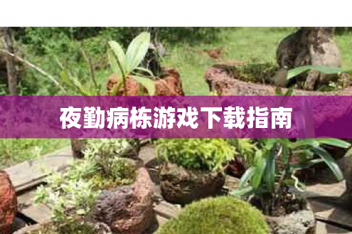 夜勤病栋游戏下载指南图片