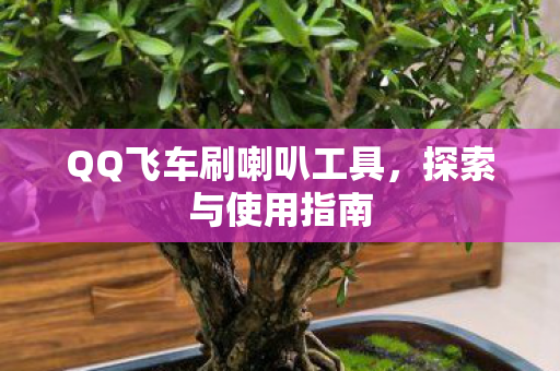 QQ飞车刷喇叭工具图片