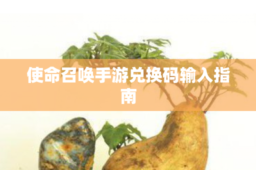 使命召唤手游兑换码输入指南图片