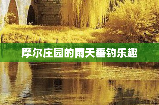 摩尔庄园的雨天垂钓乐趣图片