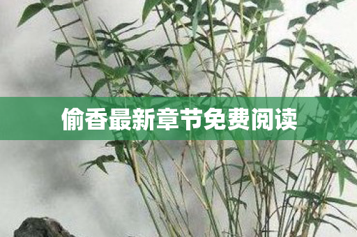 偷香最新章节免费阅读图片