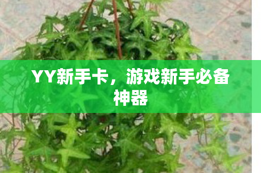 游戏新手必备神器图片