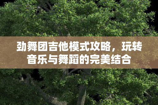 玩转音乐与舞蹈的完美结合图片