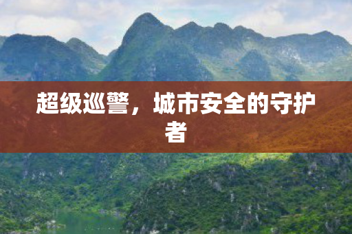 城市安全的守护者图片