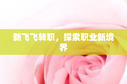 探索职业新境界图片