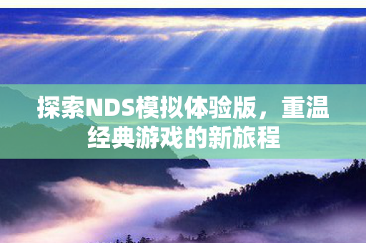 探索NDS模拟体验版图片