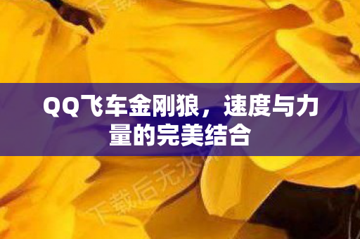 速度与力量的完美结合图片
