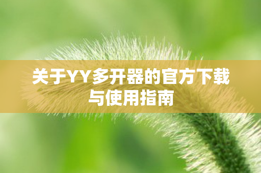 关于YY多开器的官方下载与使用指南图片