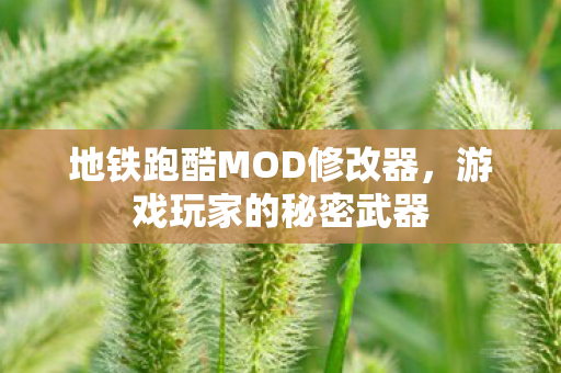地铁跑酷MOD修改器图片