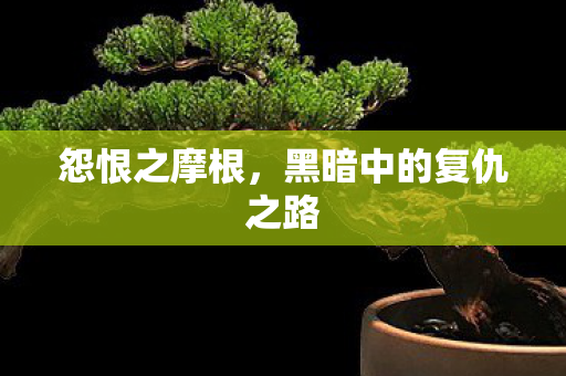 黑暗中的复仇之路图片