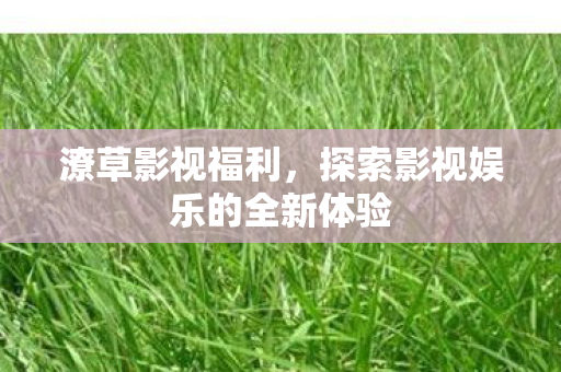 探索影视娱乐的全新体验图片
