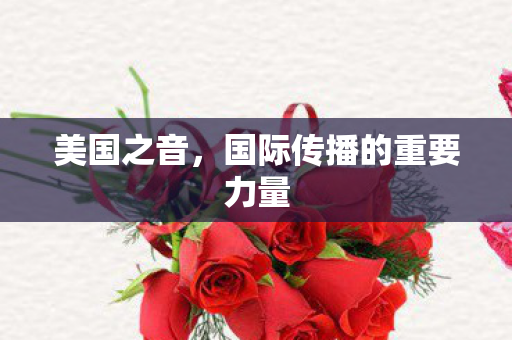 国际传播的重要力量图片