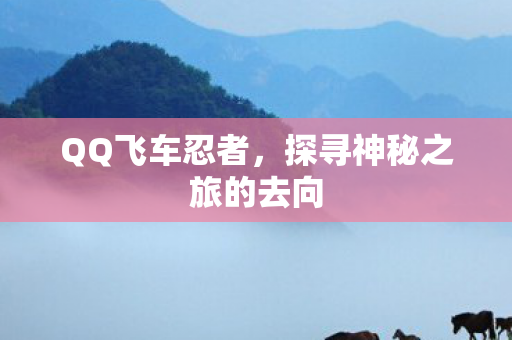 探寻神秘之旅的去向图片