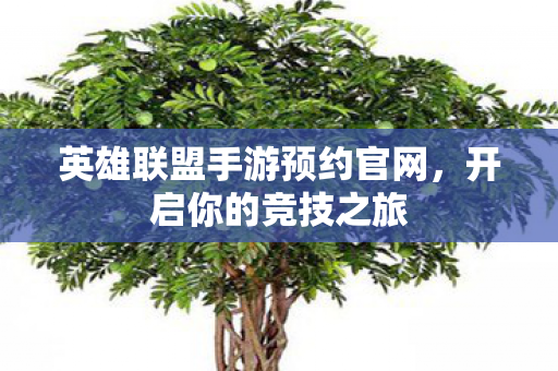 英雄联盟手游预约官网图片