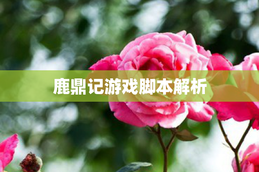 鹿鼎记游戏脚本解析图片