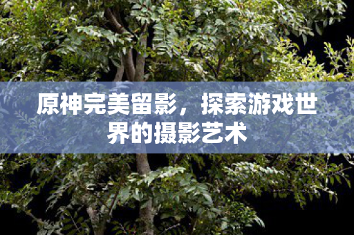 探索游戏世界的摄影艺术图片