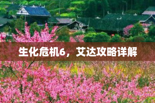艾达攻略详解图片