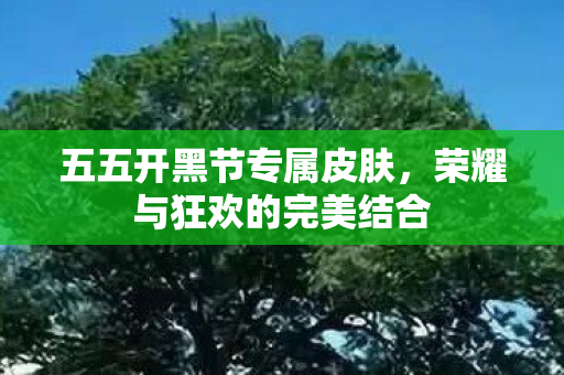 荣耀与狂欢的完美结合图片