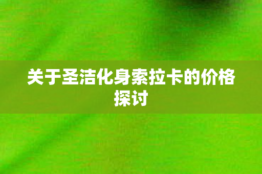 关于圣洁化身索拉卡的价格探讨图片