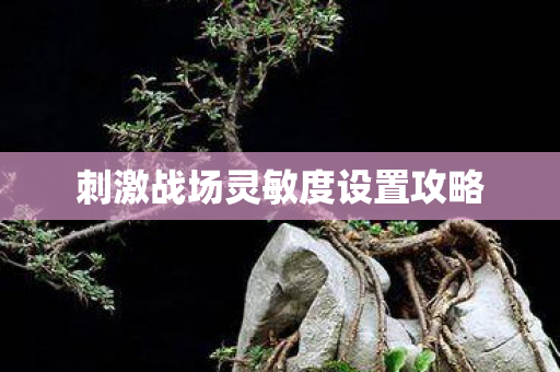 刺激战场灵敏度设置攻略图片