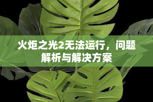 火炬之光2无法运行图片