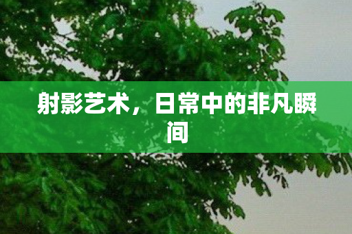 日常中的非凡瞬间图片