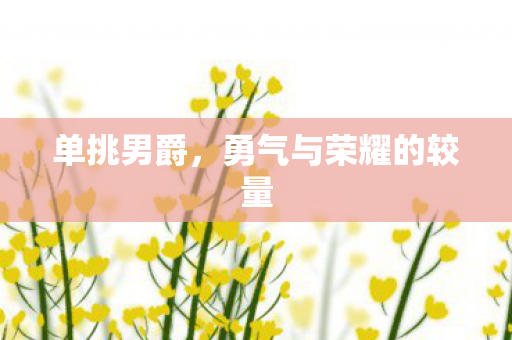勇气与荣耀的较量图片