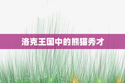 洛克王国中的熊猫秀才图片