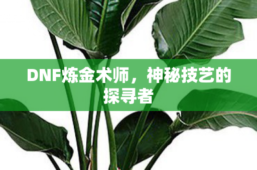 神秘技艺的探寻者图片