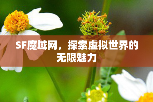 探索虚拟世界的无限魅力图片