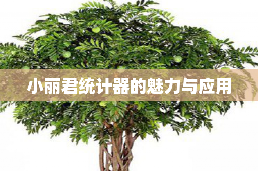 小丽君统计器的魅力与应用图片