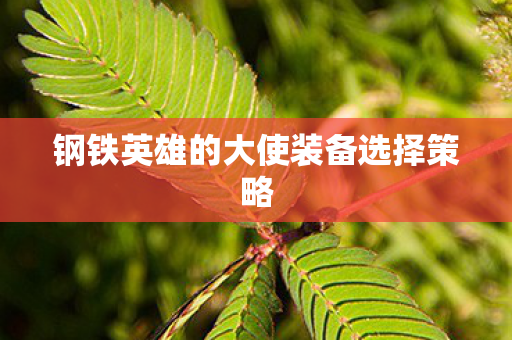 钢铁英雄的大使装备选择策略图片