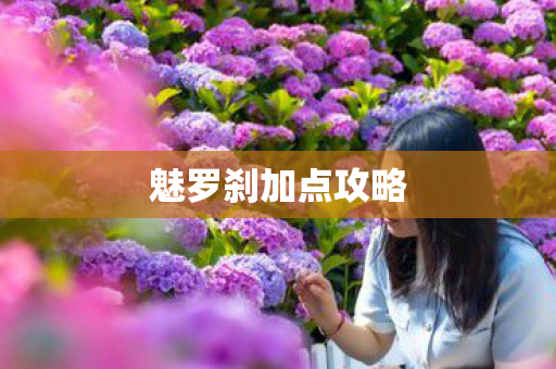 魅罗刹加点攻略图片