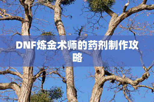 DNF炼金术师的药剂制作攻略图片