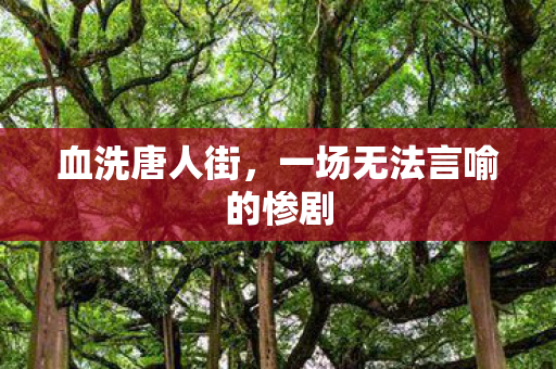 一场无法言喻的惨剧图片
