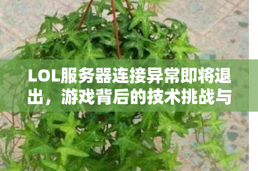 LOL服务器连接异常即将退出图片