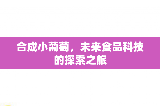 未来食品科技的探索之旅图片