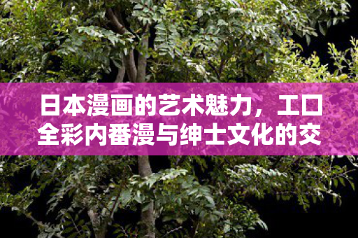 工囗全彩内番漫与绅士文化的交融图片