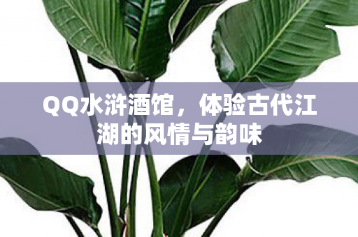 体验古代江湖的风情与韵味图片
