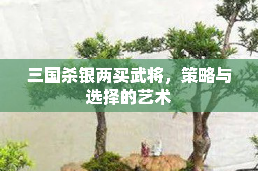 三国杀银两买武将图片