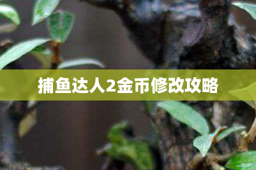 捕鱼达人2金币修改攻略图片